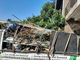 Best Electronics and E-Waste Disposal  in La Crescent, MN